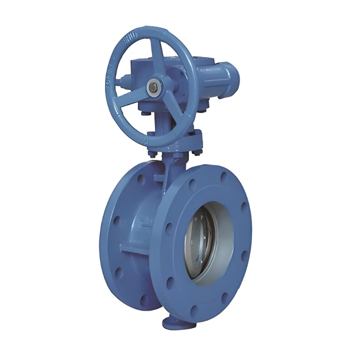 Check Valve Swing